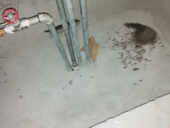 威宁卫生间测漏水价格明细